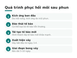 Quá trình phục hồi môi sau phun