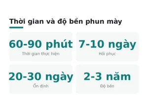Thời gian và độ bền phun mày