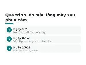 Quá trình lên màu lông mày sau phun xăm