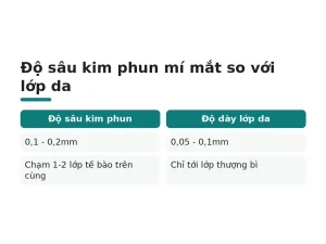 Độ sâu kim phun mí mắt so với lớp da