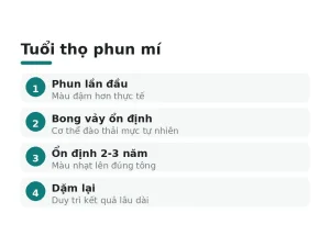 Tuổi thọ phun mí