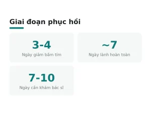 Giai đoạn phục hồi