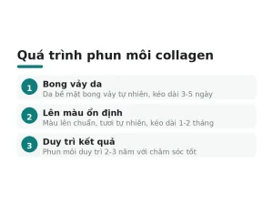 Quá trình phun môi collagen